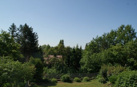 Gartenansicht Dreizimmerwohnung Freising