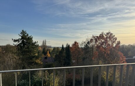 Aussicht vom Balkon